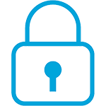 security icon