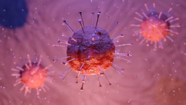 corona virus cells