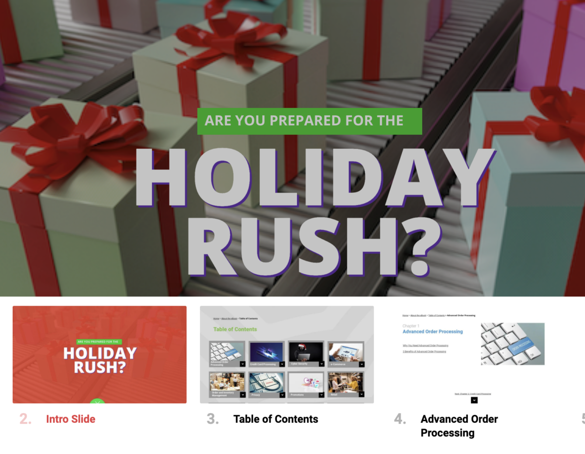 Announcing the 2024 Ultimate Holiday eCommerce Ebook - Freestyle Solutions